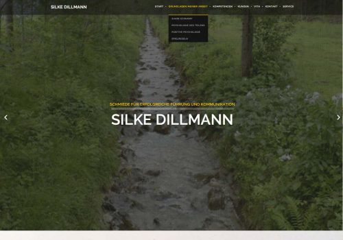 Silke Dillmann, Web